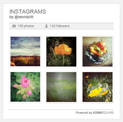 instagram-gallery-untuk-wordpress-plugin