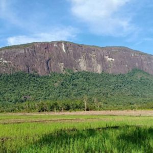 Jasa Pembuatan Website di Melawi
