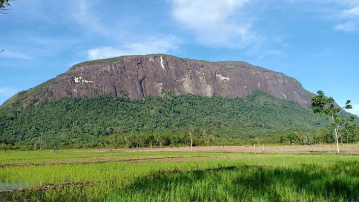Jasa Pembuatan Website di Melawi