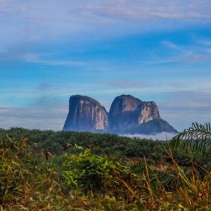 jasa pembuatan website di Kayong utara