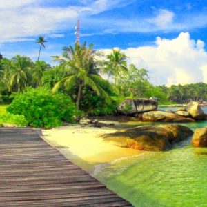jasa pembuatan website di Kab Lingga