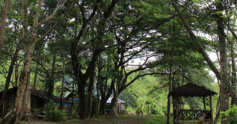 jasa pembuatan website di Kabupaten Tana Tidung