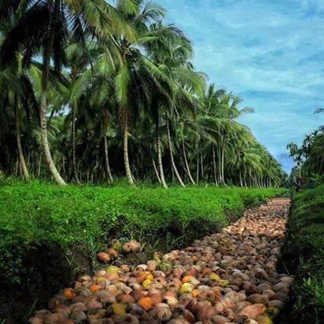 jasa pembuatan website di Tembilahan Kabupaten Indragiri Hilir