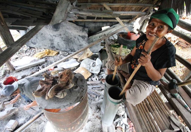 jasa pembuatan website di Wakatobi